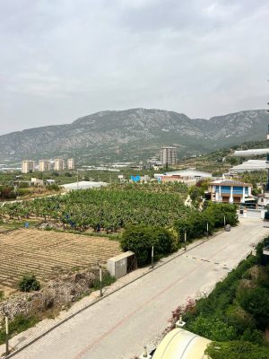 Аренда роскошной квартиры в Алании (Махмутлар, Azura Park)