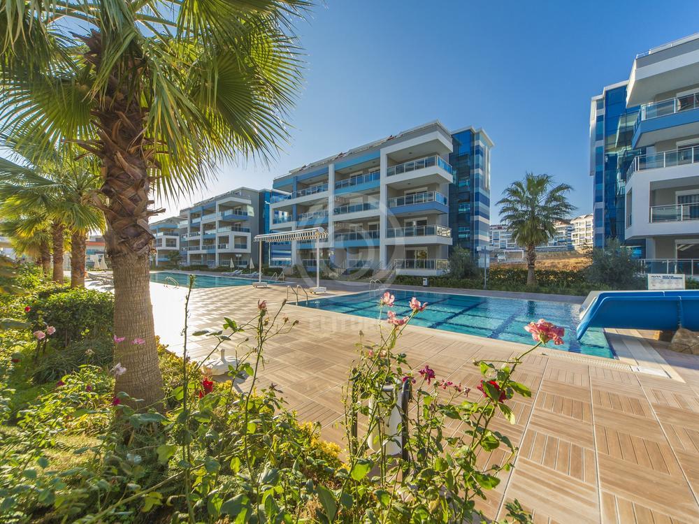 Продажа квартиры 1+1 ниже рынка: Kestel, Aura Blue